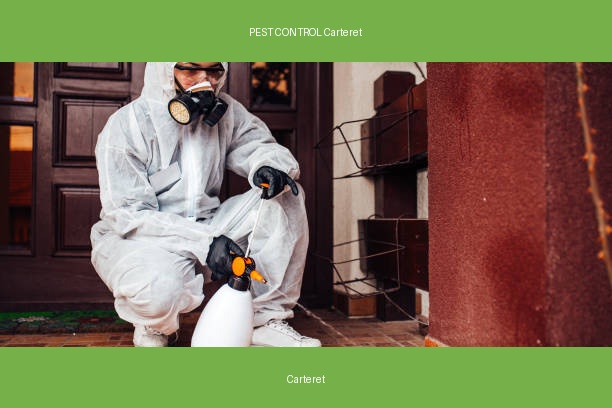 PEST CONTROL Carteret